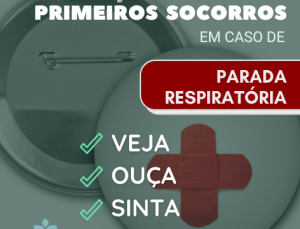Adicionar um título (3)