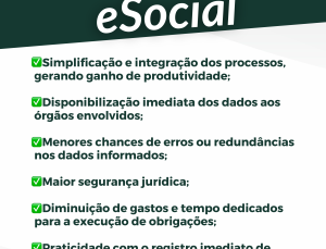 Confira na legenda (16)