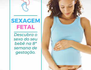 Confira na legenda (17)