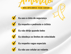 Maio Amarelo (8)