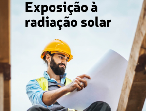 Nov_exp_Noticias