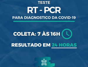 RT - PCR (3)